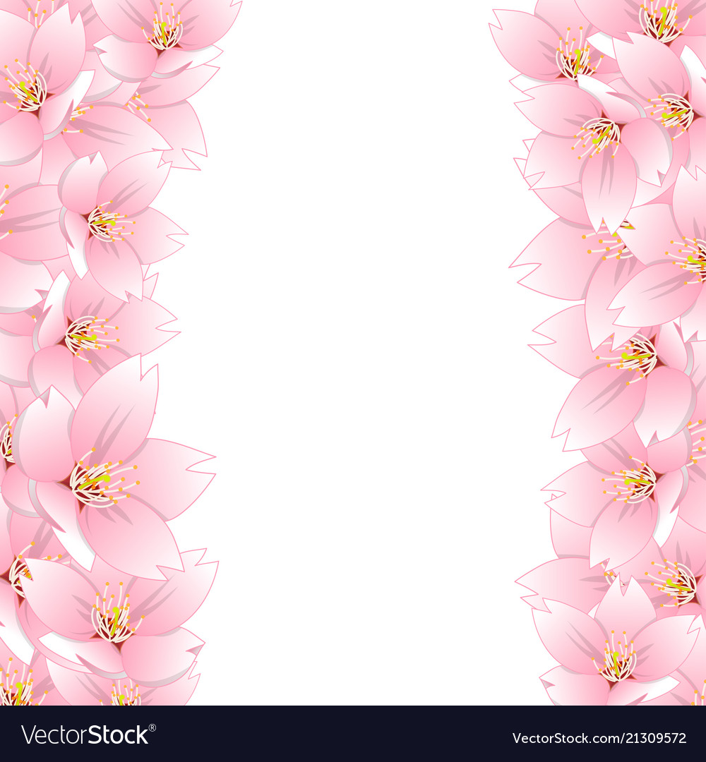 Sakura cherry blossom border