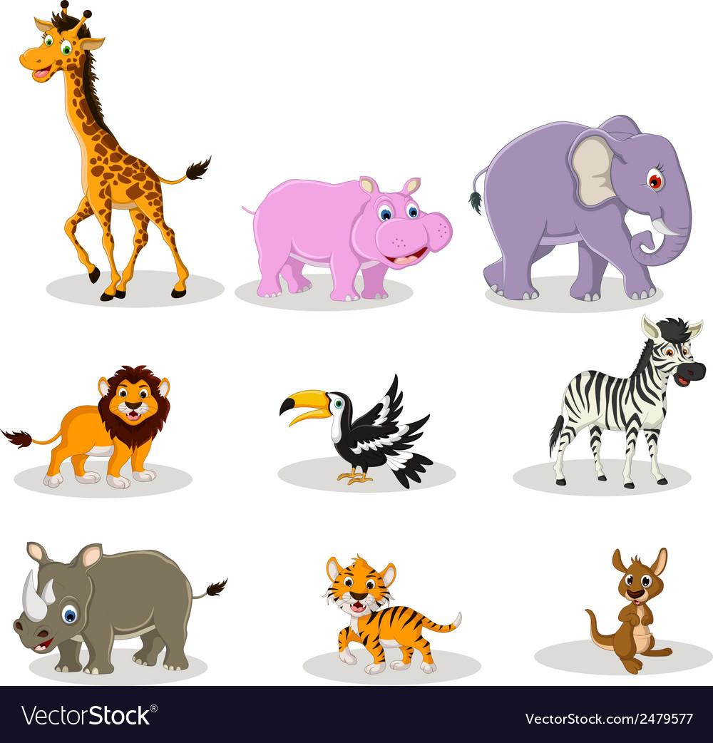 Animal wildlife cartoon collection