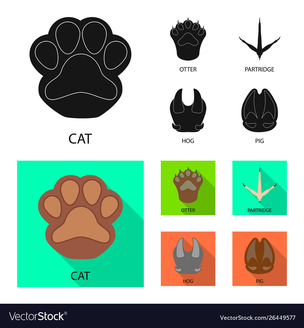 Isolated object step and walk logo collection