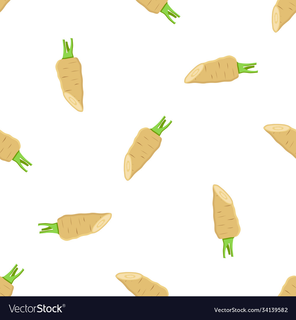 On theme pattern plant parsnip vector image On theme pattern plant parsnip