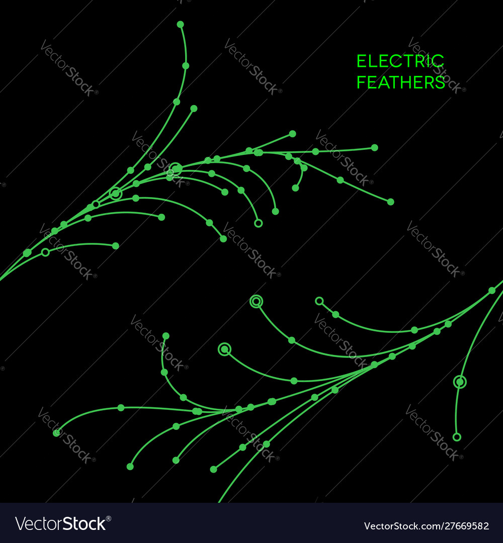 Wire grid feathers made connected dots vector image Wire grid feathers made connected dots