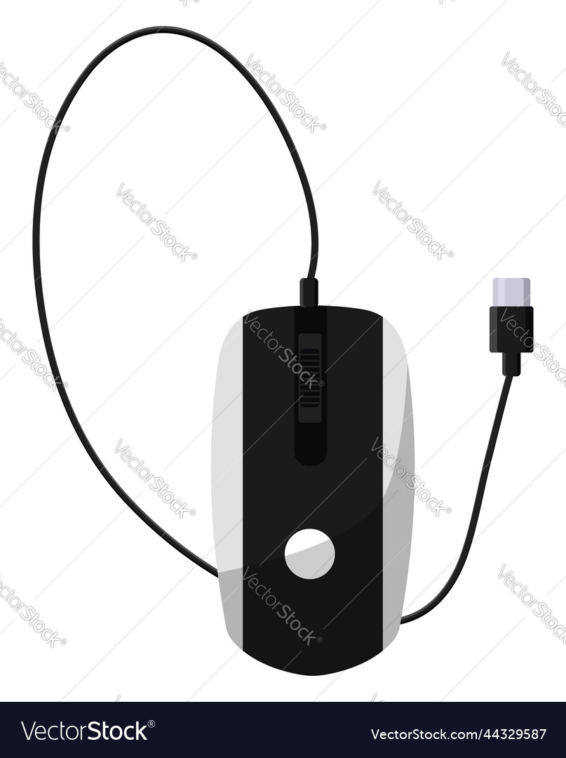 Computer mouse on a white background