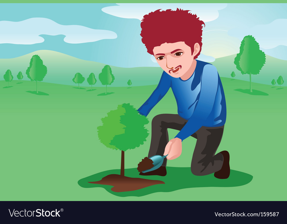 Tree planter
