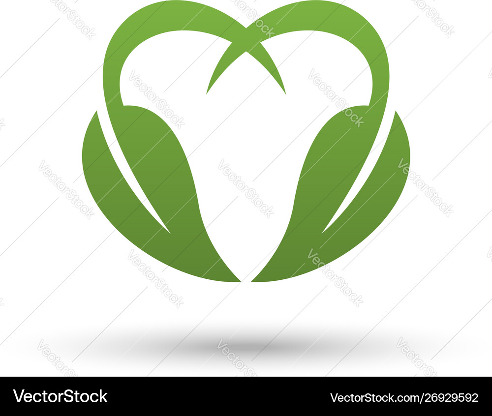 Leaf isolated white background Royalty Free Vector Image