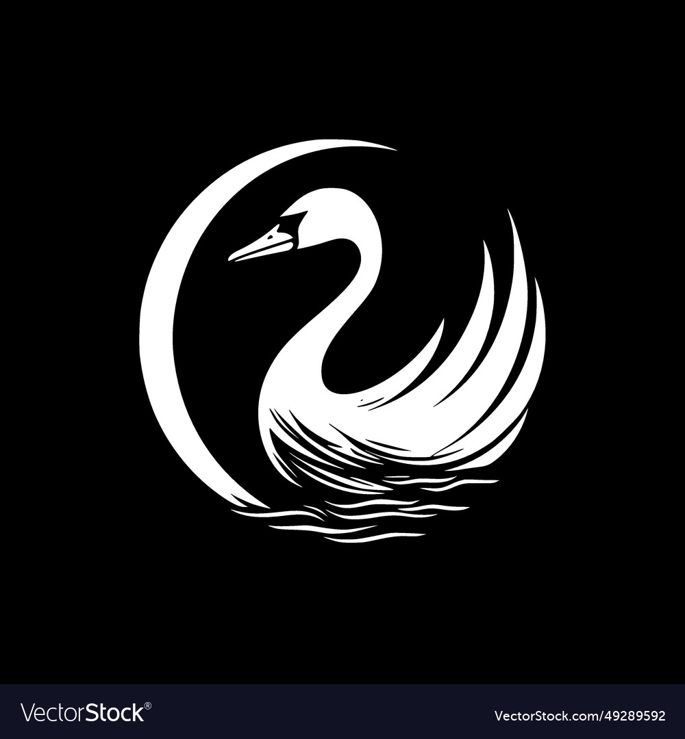 Swan - black and white