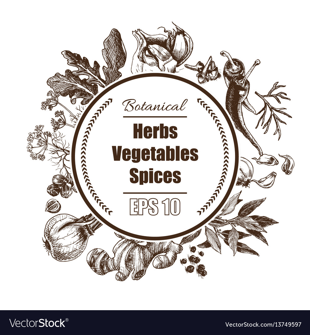 Background - spices herbs vegetables Royalty Free Vector