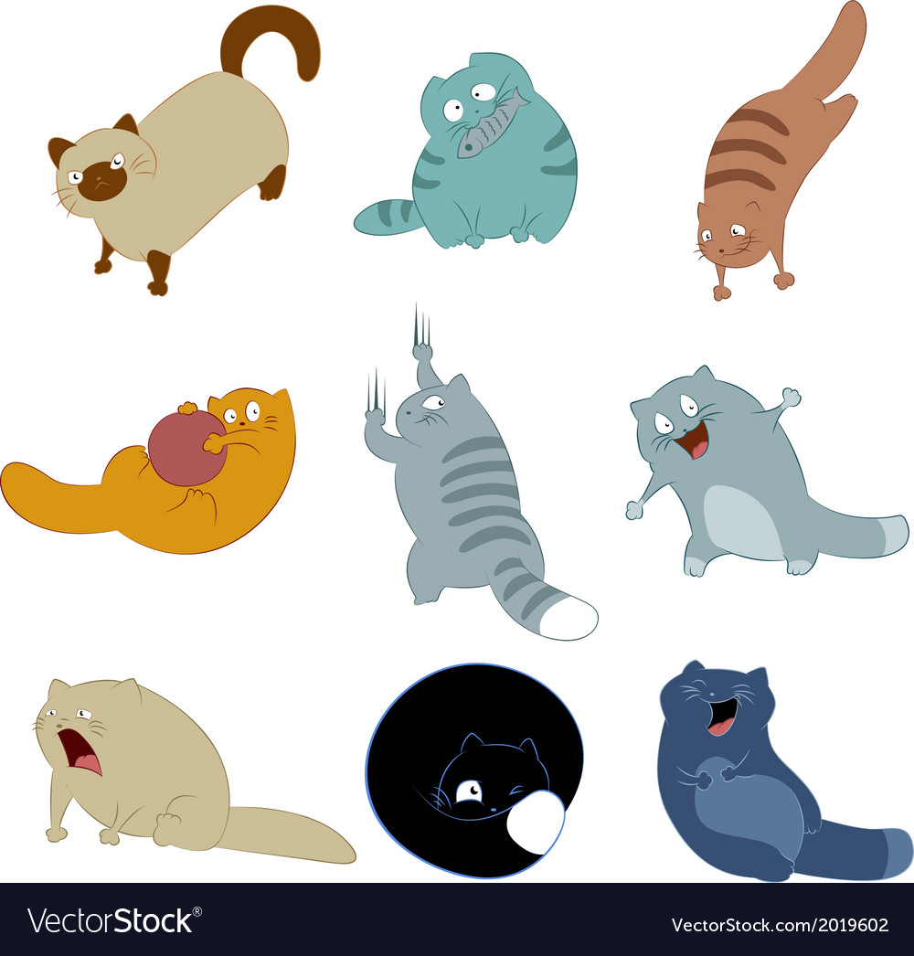 Collection of cats 2