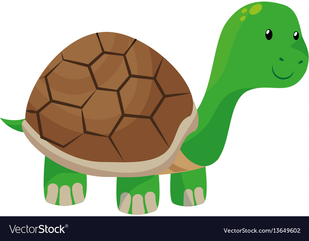 Cute turtle pet isolated icon Royalty Free Vector Image