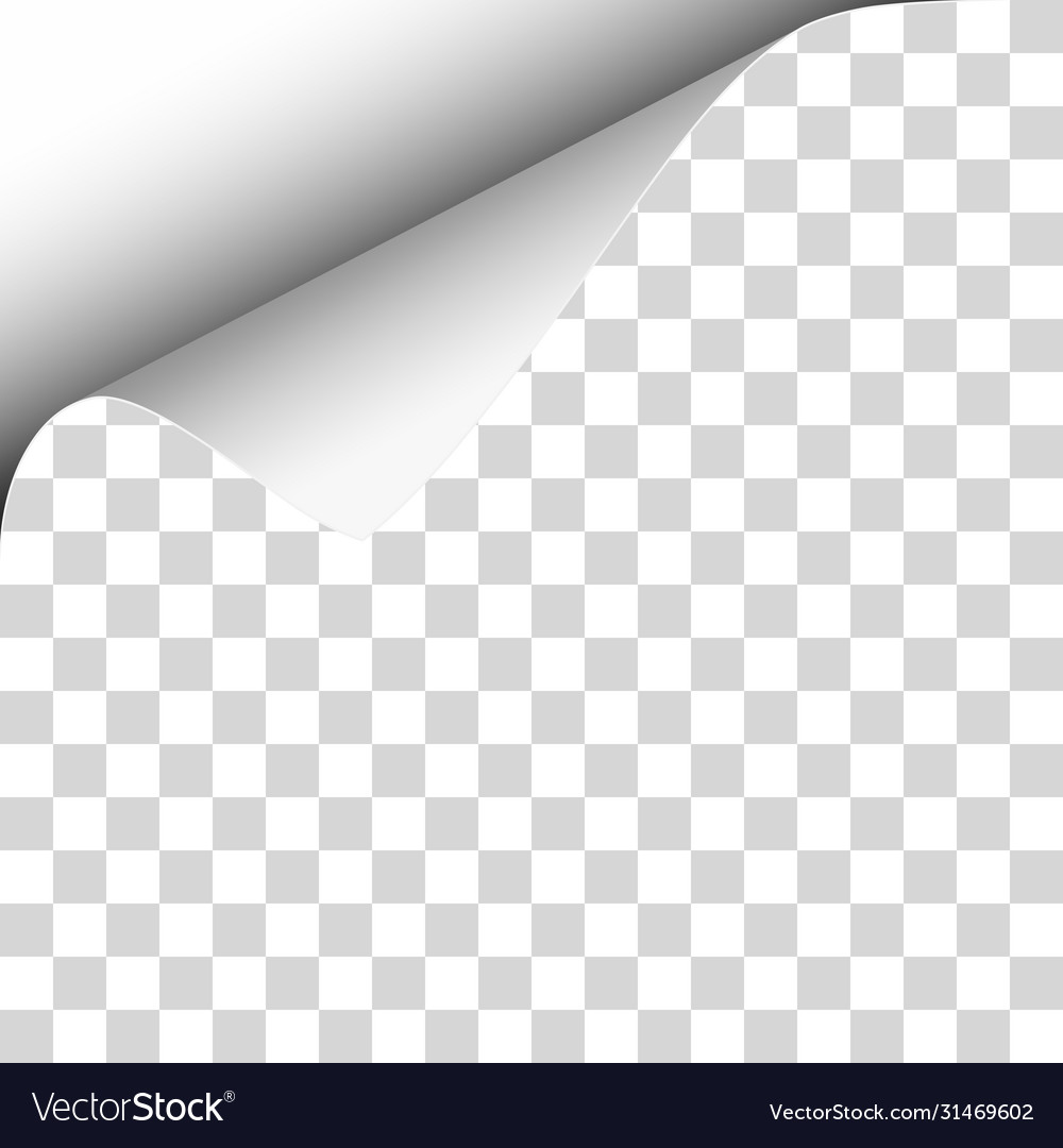 Upper left curl corner transparent sheet vector image Upper left curl corner transparent sheet