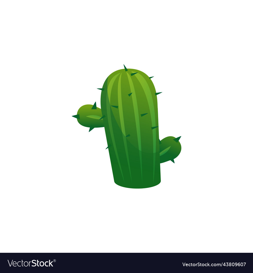 Cactus succulent plant cartoon flat