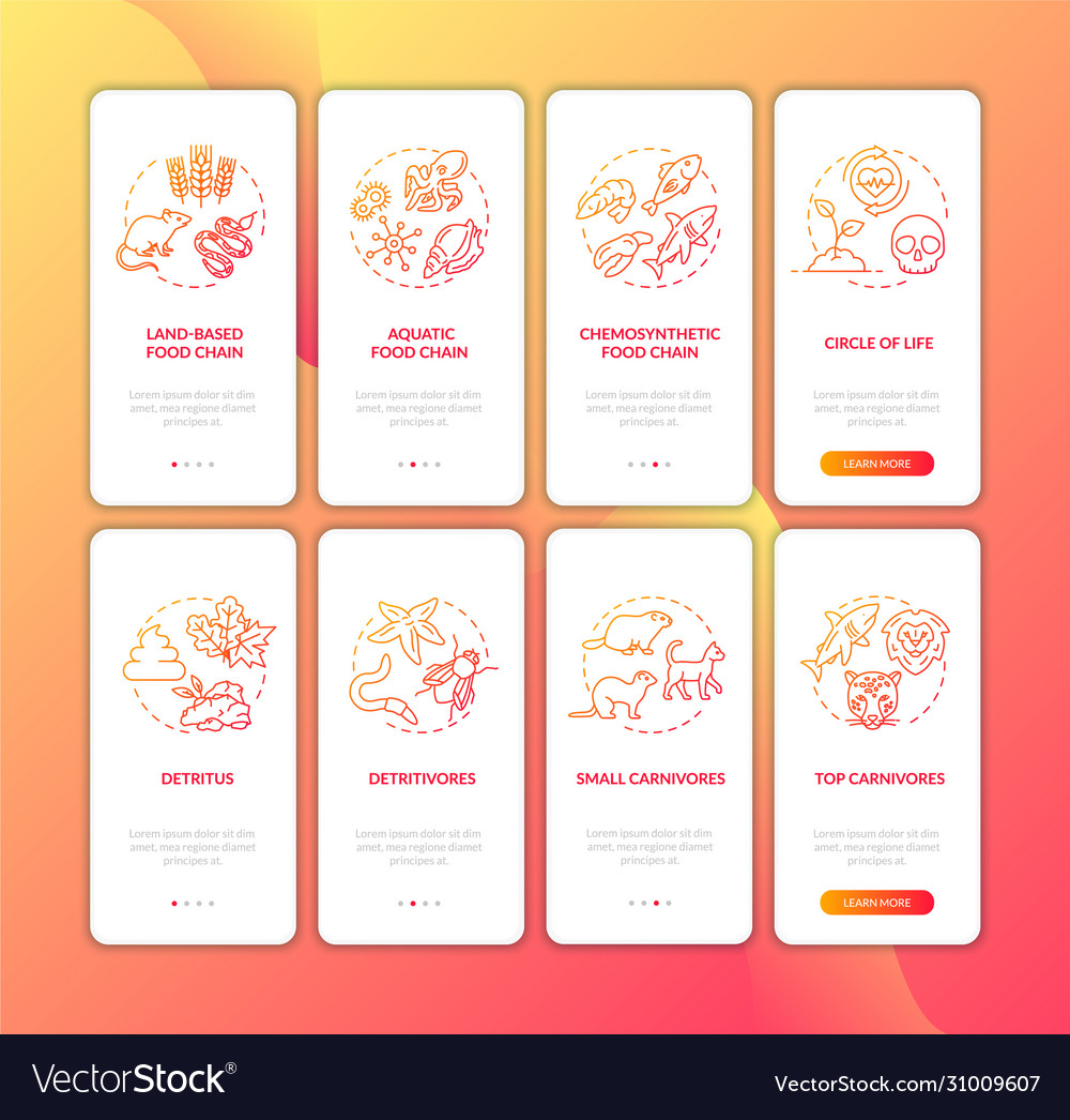 Food web onboarding mobile app page screen