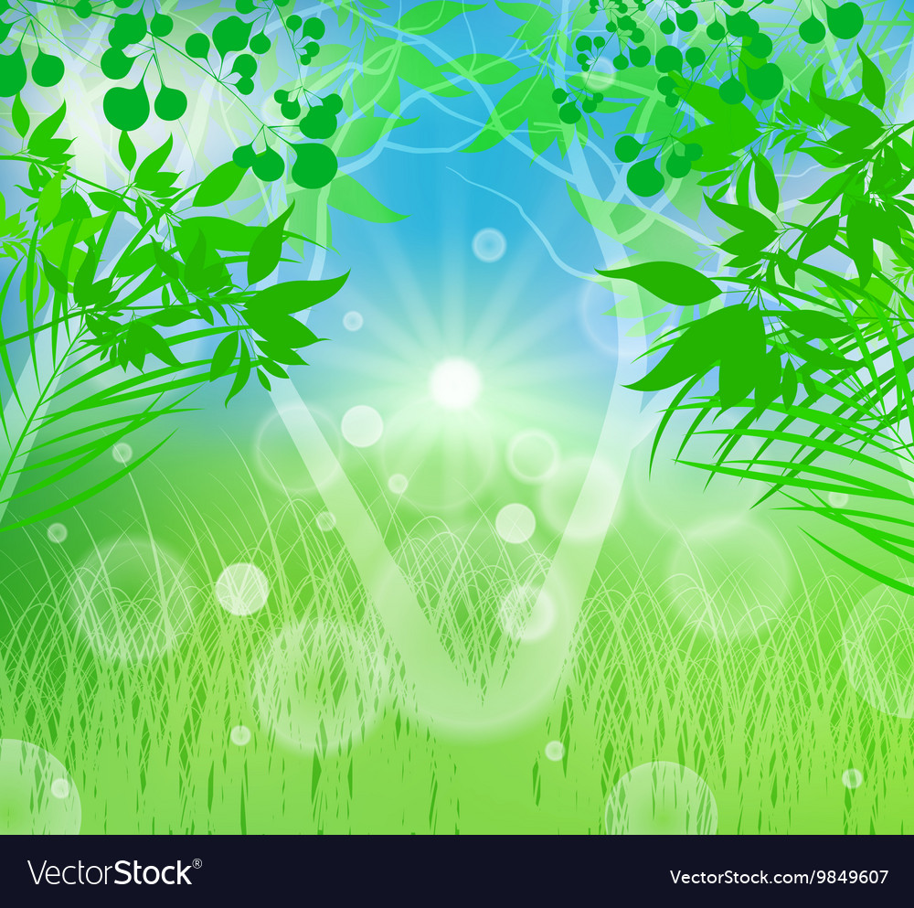 Spring time