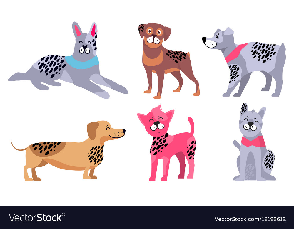 Animal symbols of 2018 year by chinese calendar Vector Image Animal symbols of 2018 year by chinese calendar Vector Image