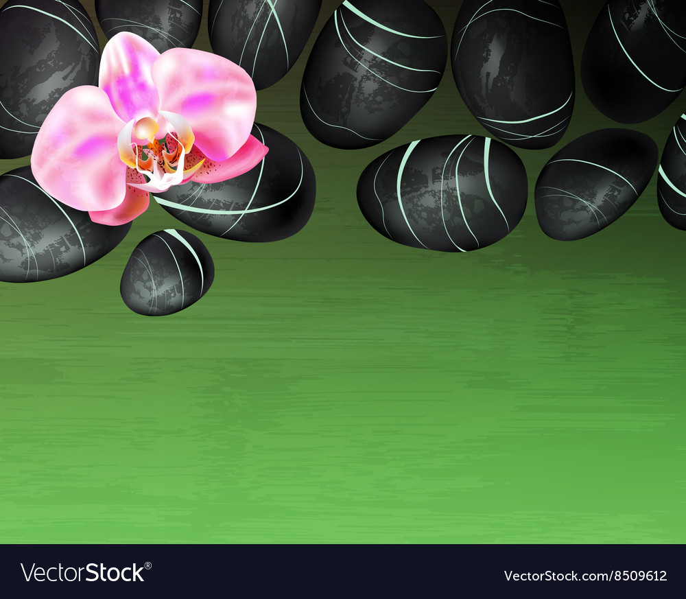 Green spa background with flowers and hot stones