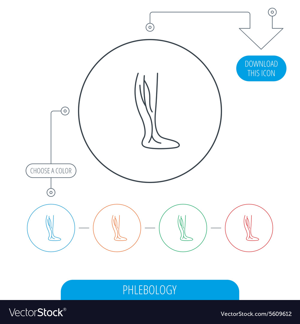 Phlebology icon leg veins sign