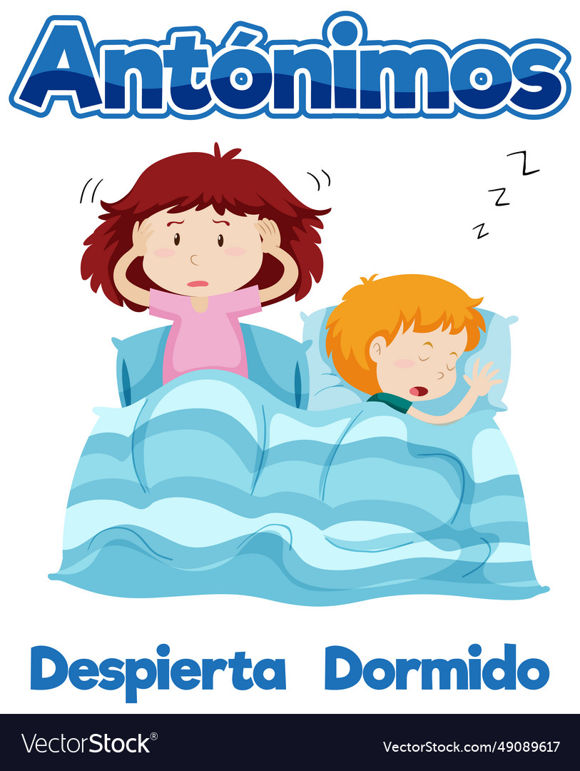 Awake And Asleep Education Antonyms In Spanish Vector Image