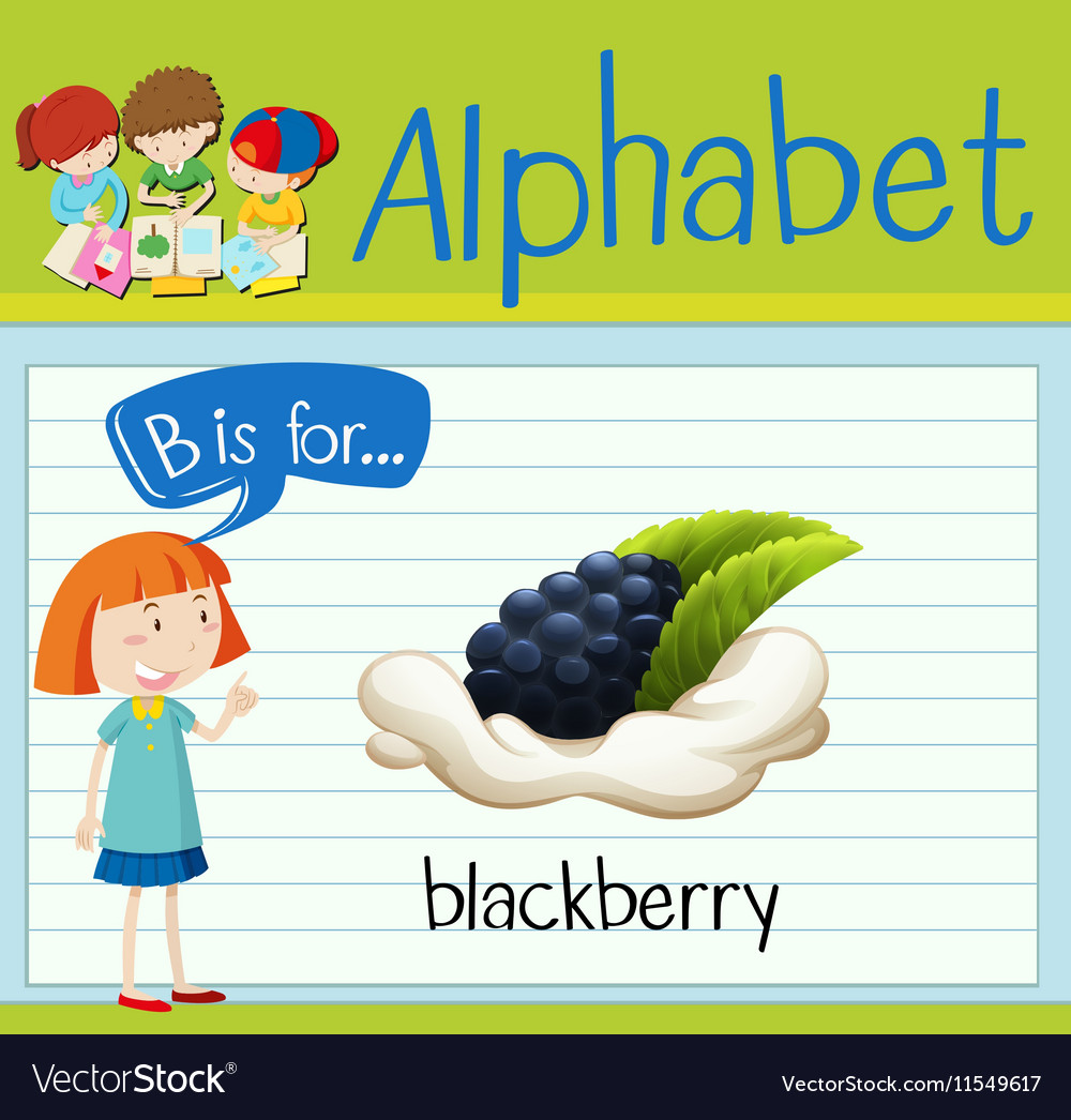 Flashcard Letter B Is For Blackberry Royalty Free Vector