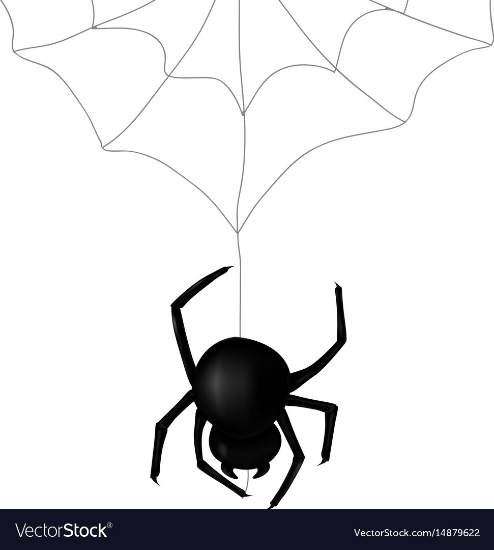 Schwarze Spinne Silhouette