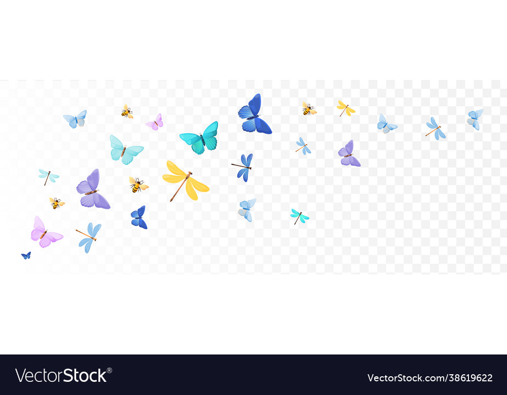 Bright colorful spring summer butterflies