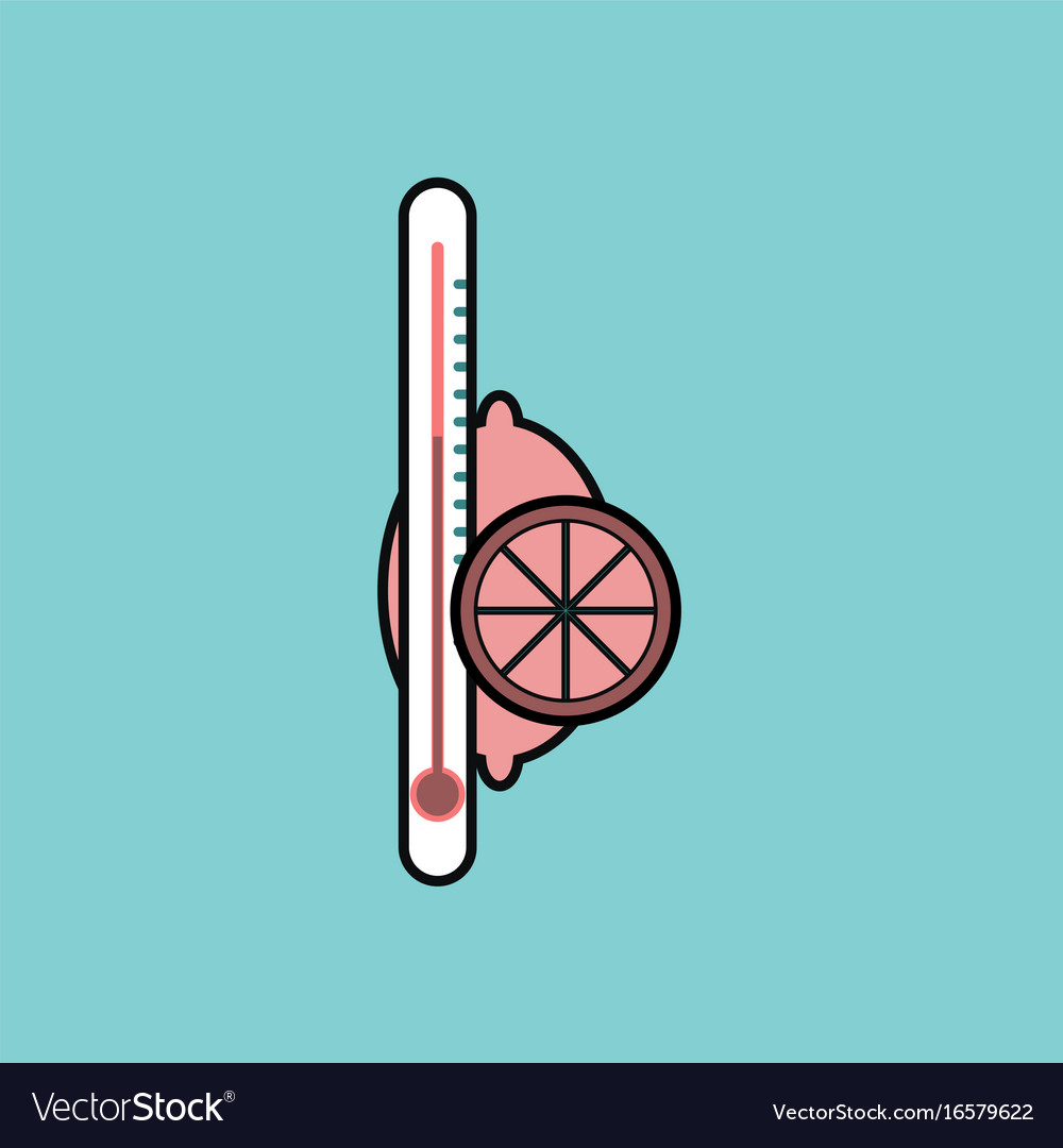Flat icon design collection thermometer with lemon