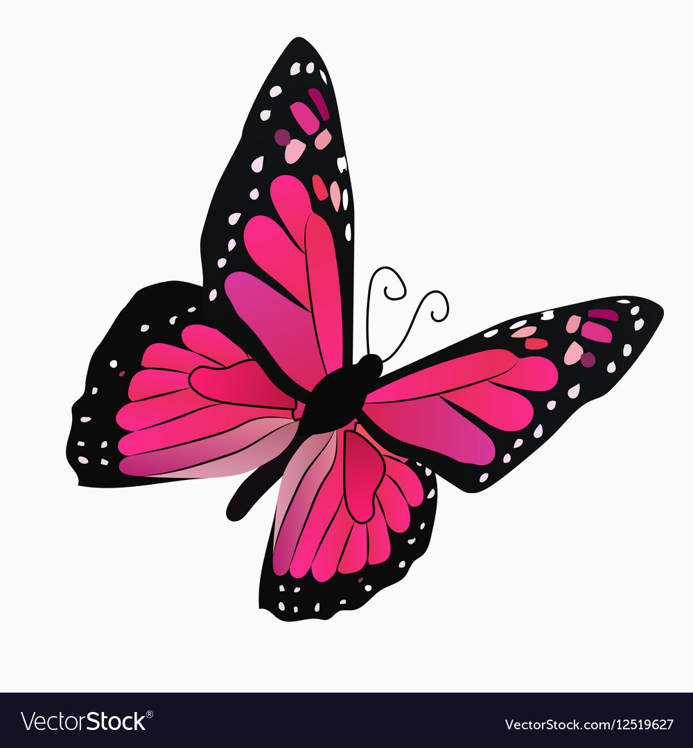 Free Free 135 Butterfly Svg Vector SVG PNG EPS DXF File