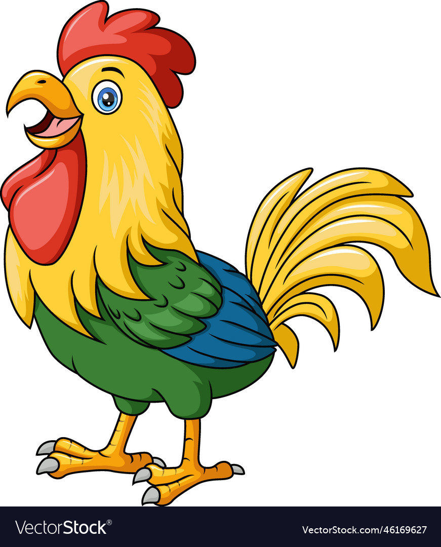 Cute rooster cartoon on white background