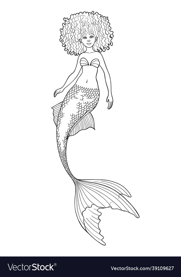 Graphic mermaid isolated on white background Vector Image