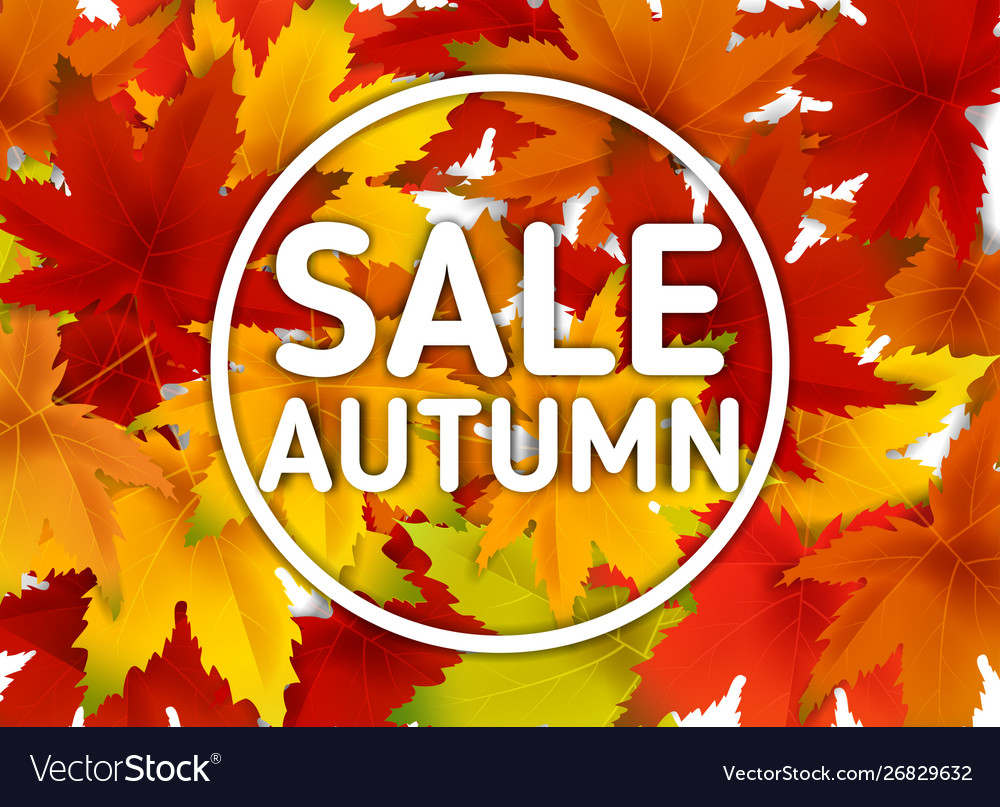 Sale autumn background template with falling Vector Image