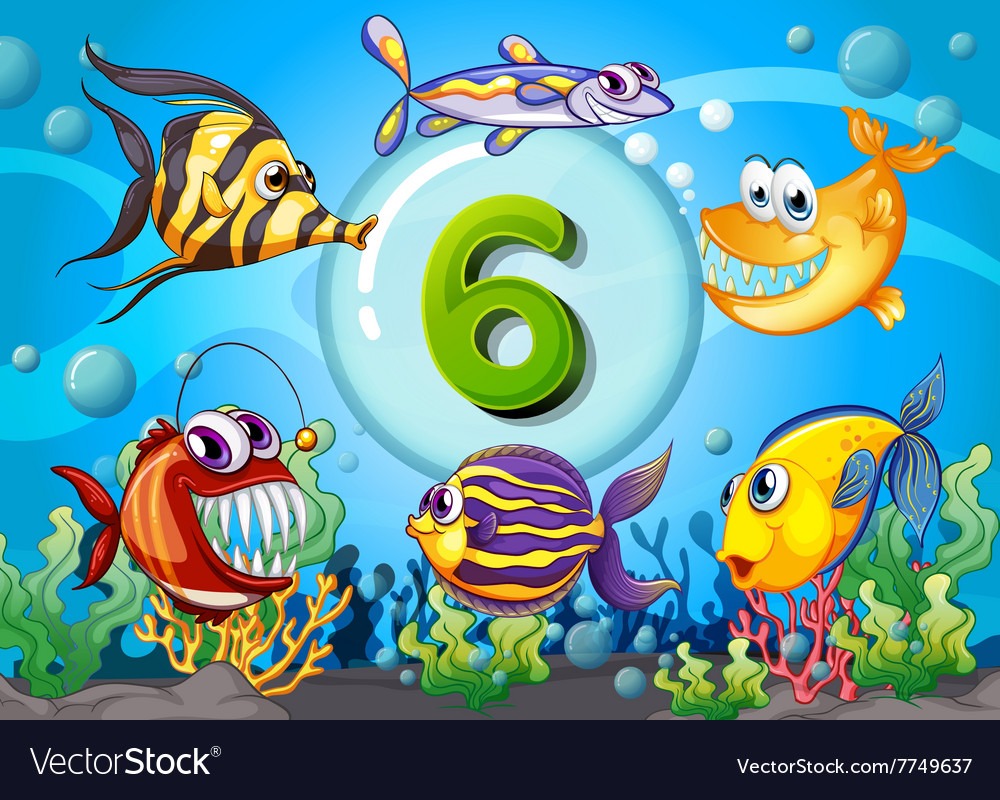 six fish