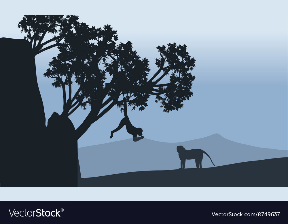 Silhouette of monkey in fields