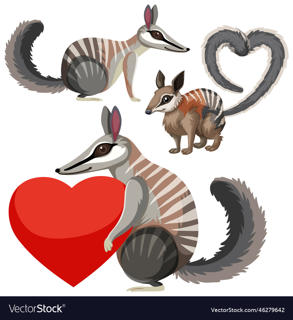 Set of numbat cartoon character