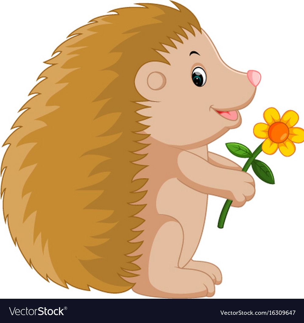 Cute hedgehog cartoon Royalty Free Vector Image