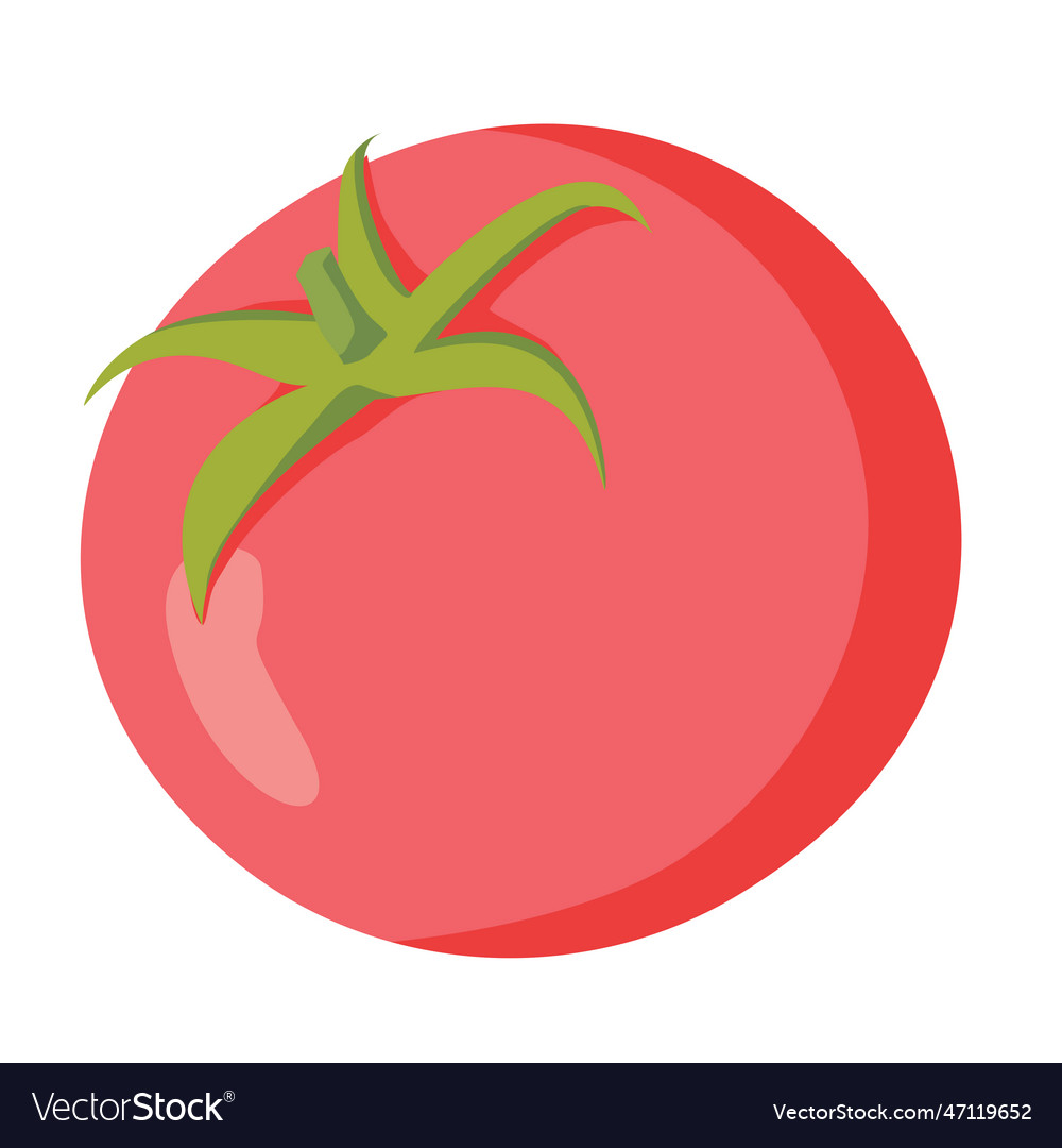 Tomato Royalty Free Vector Image - VectorStock