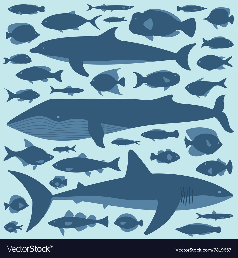 Fish set Royalty Free Vector Image - VectorStock