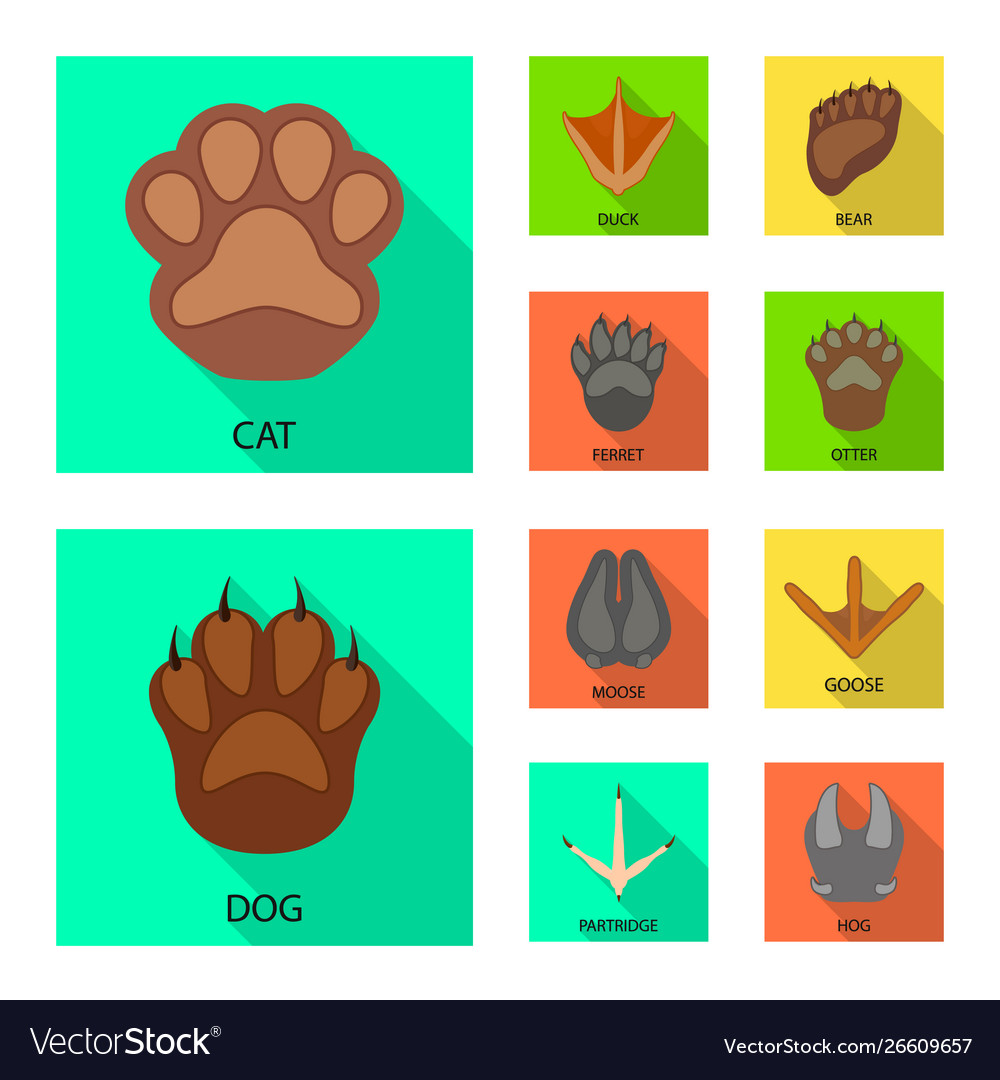 Isolated object step and walk sign collection vector image Isolated object step and walk sign collection