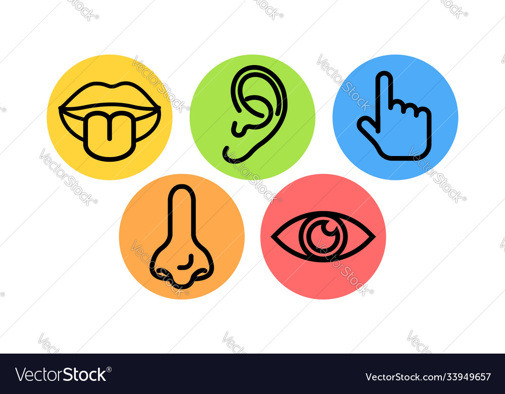 Two sets icons representing five senses Royalty Free Vector