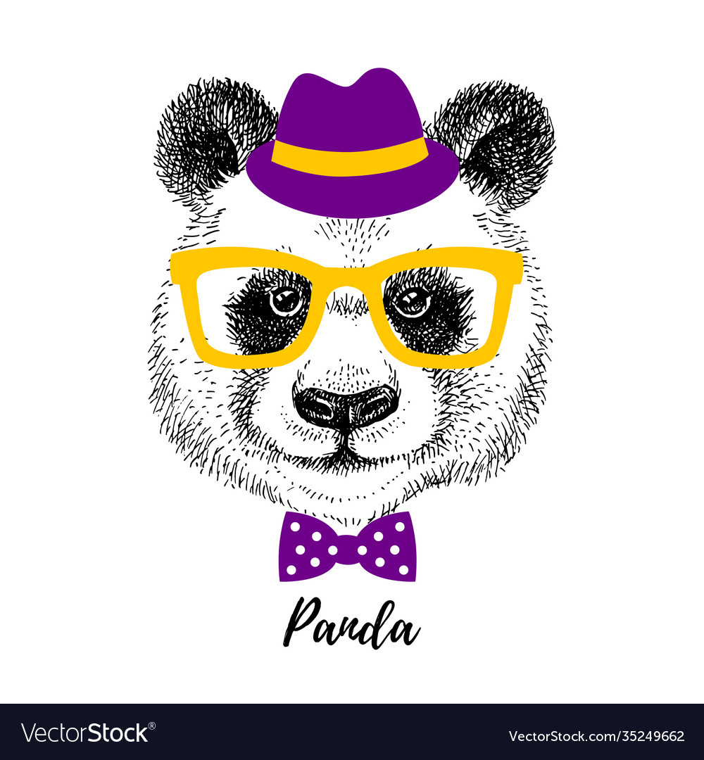 Hand drawn sketch bear hipster head isolated vector image Hand drawn sketch bear hipster head isolated