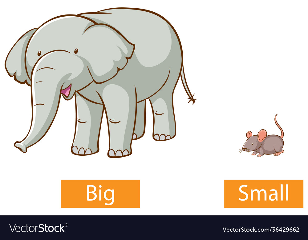 Big - small