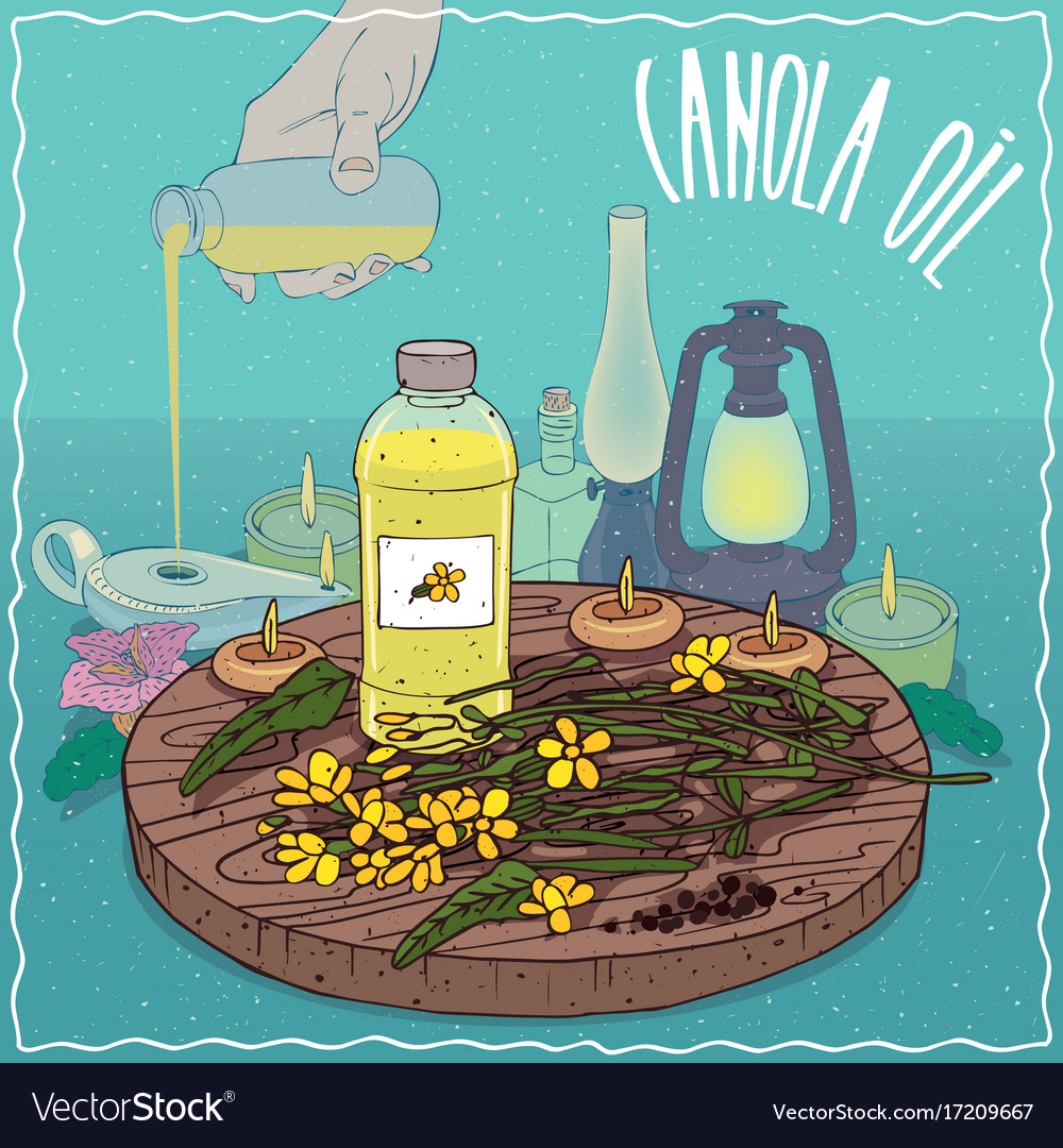 Canola Öl als Kraftstoff für Lampe verwendet