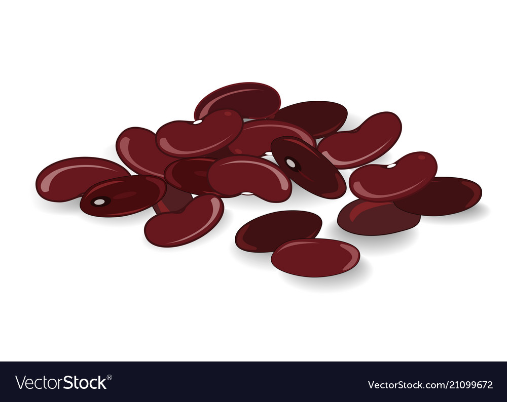 Red bean isolated on white background