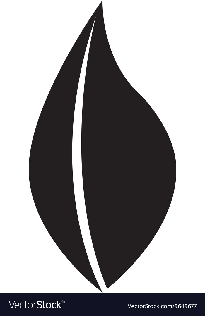 Black and white leaf icon design ecology theme