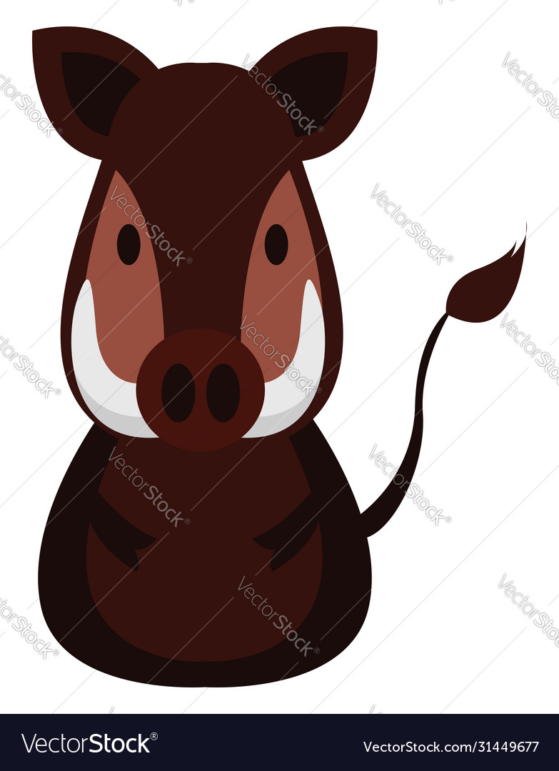 Wild boar on white background