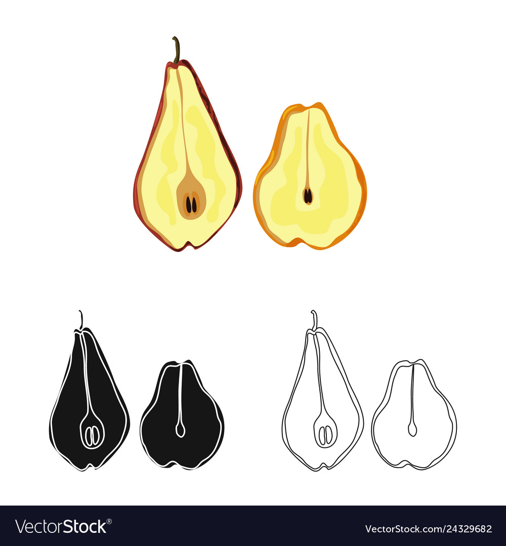 Isolated object of pear and dry icon collection