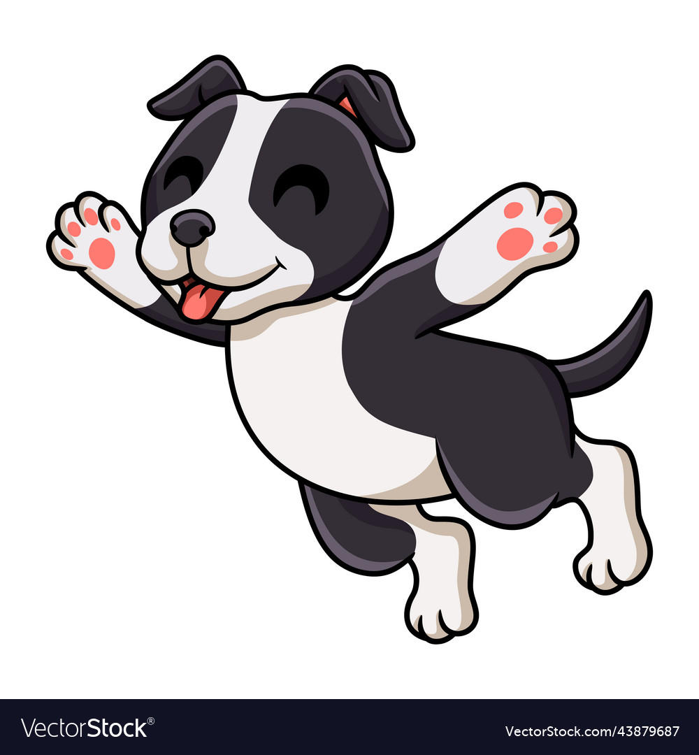 Cute american staffordshire terrier dog cartoon