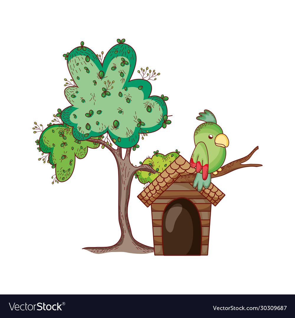 Cute animals parrots in branch tree cartoon