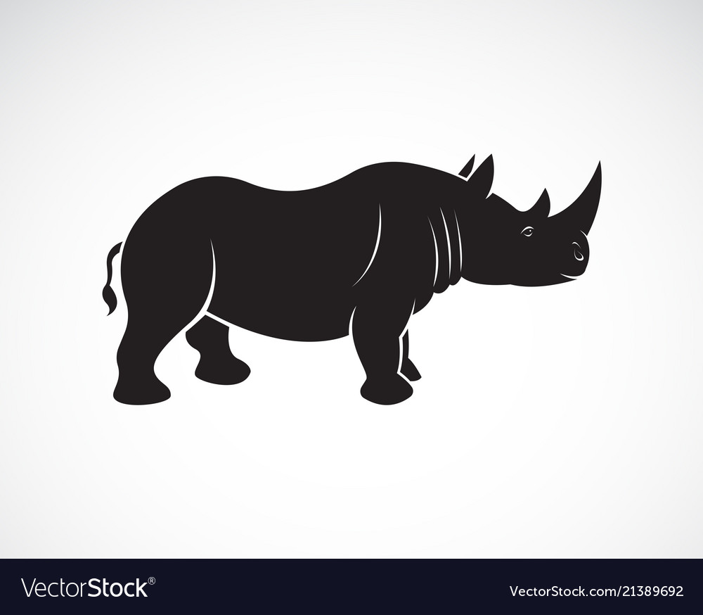 rhinoceros graphic rhinoceros graphic