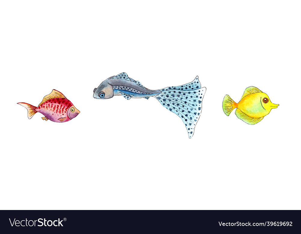 Watercolor of small colorful fish aquarium fish Vector Image