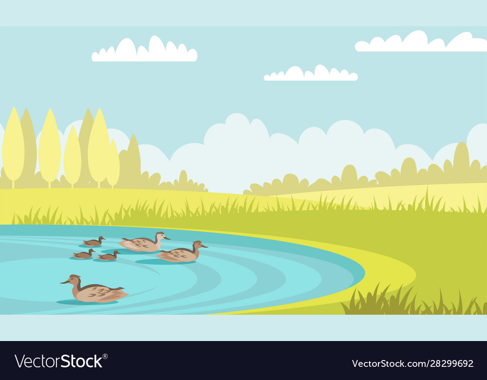 Wild ducks swim in pond flat vector image Wild ducks swim in pond flat