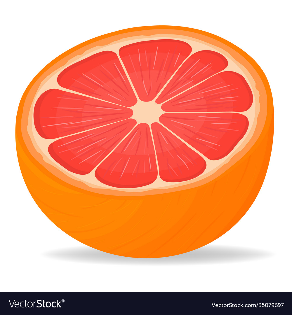 Frische helle exotische Halbschnitt Grapefruit isoliert vector image Frische helle exotische Halbschnitt Grapefruit isoliert