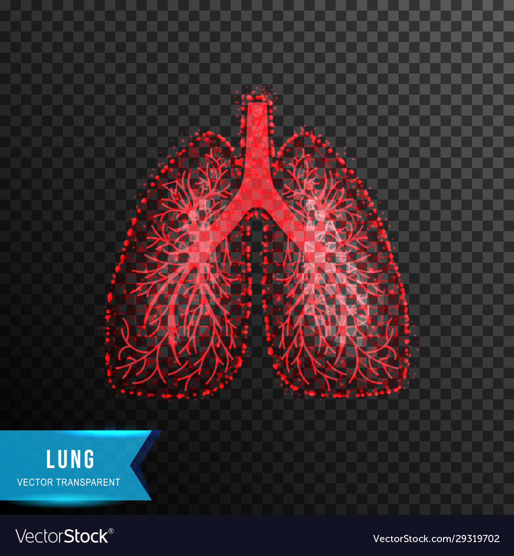 Lung from connecting dot and line light effect